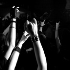 Festival and concert reporting